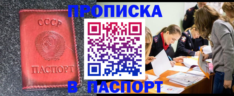 прописка для школы в Новороссийске